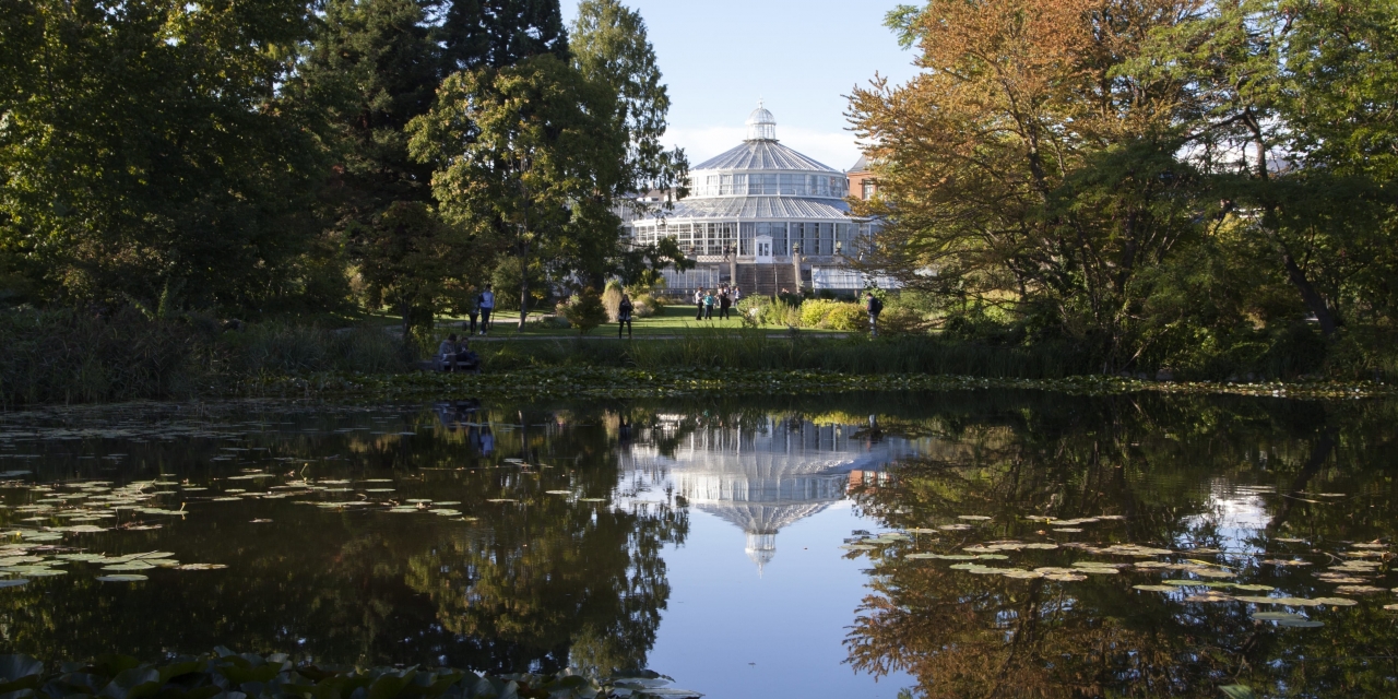 Visit the Botanical Garden in Copenhagen 