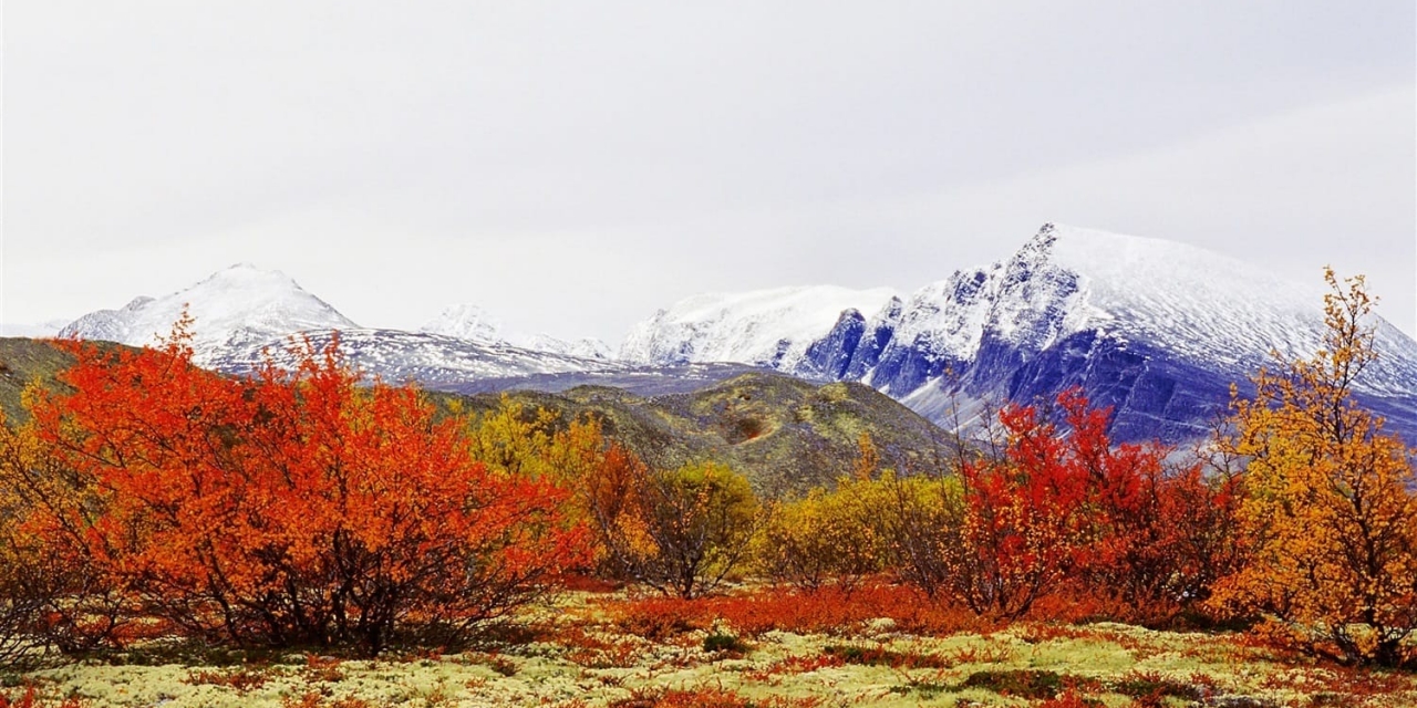 The fascinating late summer by the Norwegian fjords