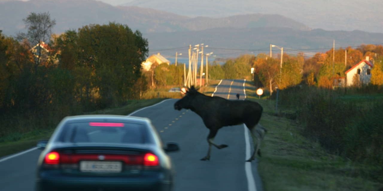 Self Drive in Norway