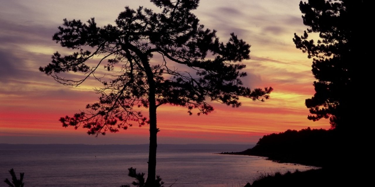 Hornbæk Beach